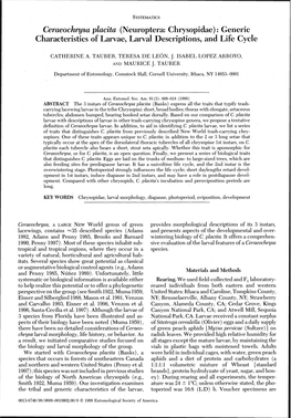 Ceraeochrysa Placita (Neuroptera: Chrysopidae) : Generic Characteristics of Larvae, Larval Descriptions, and Life Cycle