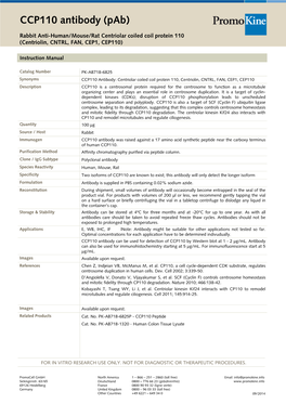 CCP110 Antibody (Pab)