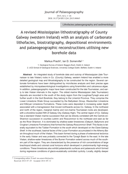 A Revised Mississippian Lithostratigraphy of County Galway