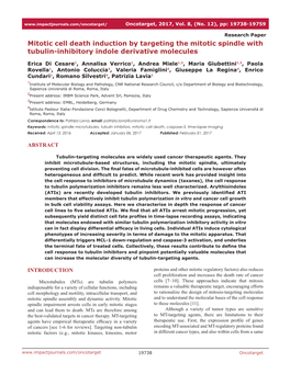 Mitotic Cell Death Induction by Targeting the Mitotic Spindle with Tubulin-Inhibitory Indole Derivative Molecules