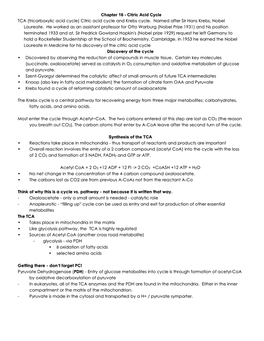 Chem331 Krebs Cycle