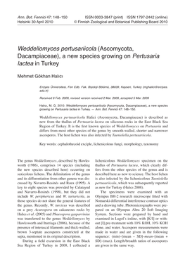 Weddellomyces Pertusariicola (Ascomycota, Dacampiaceae), a New Species Growing on Pertusaria Lactea in Turkey