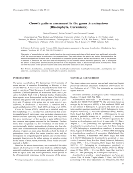 Growth Pattern Assessment in the Genus Acanthophora (Rhodophyta, Ceramiales)