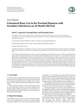 Case Report Unicameral Bone Cyst in the Proximal Humerus with Secondary Infection in an 18-Month-Old Foal