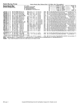 Mucho Macho Man Daily Racing Form