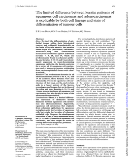 The Limited Diverence Between Keratin Patterns of Squamous Cell