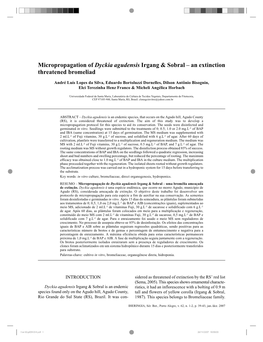 Micropropagation of Dyckia Agudensis Irgang & Sobral – An