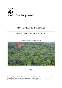 Final Project Report