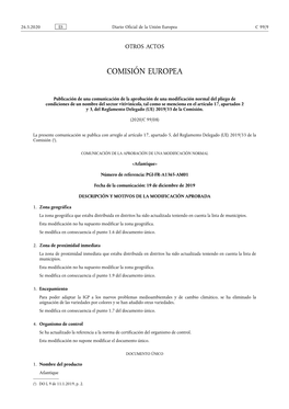 Comisión Europea