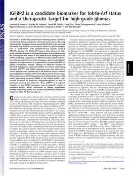 IGFBP2 Is a Candidate Biomarker for Ink4a-Arf Status and a Therapeutic Target for High-Grade Gliomas