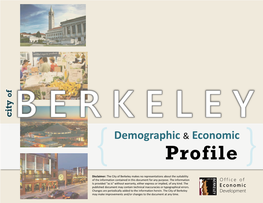 Berkeley Demographic & Economic Profile