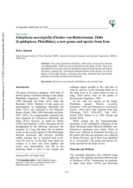 Eidophasia Messingiella (Fischer Von Röslerstamm, 1840) (Lepidoptera, Plutellidae), a New Genus and Species from Iran