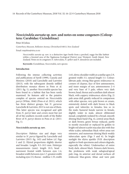 Neocicindela Aureata Sp. Nov. and Notes On