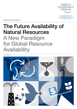 The Future Availability of Natural Resources a New Paradigm For