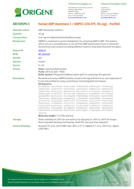 Human AMP Deaminase 2 / AMPD2 (236-879, His-Tag) - Purified