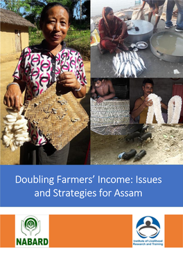 Doubling Farmers' Income: Issues and Strategies for Assam