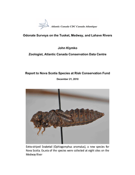 Odonate Surveys on the Tusket, Medway, and Lahave Rivers