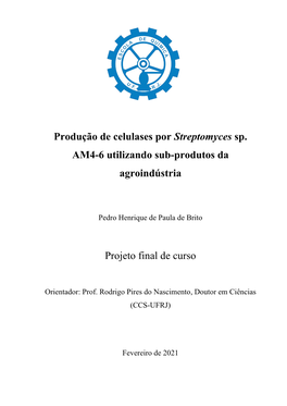 Produção De Celulases Por Streptomyces Sp. AM4-6 Utilizando Sub-Produtos Da Agroindústria