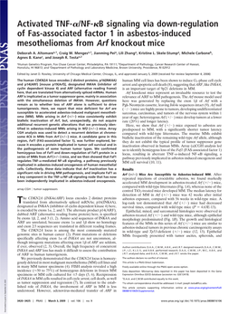 B Signaling Via Down-Regulation of Fas-Associated Factor 1 in Asbestos-Induced Mesotheliomas from Arf Knockout Mice