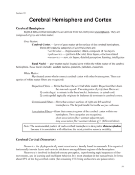 Cerebral Cortex Lect