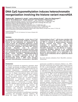 DNA Cpg Hypomethylation Induces Heterochromatin Reorganization Involving the Histone Variant Macroh2a