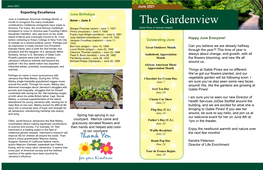 The Gardenview Contributions Caribbean Immigrants Have Made to America