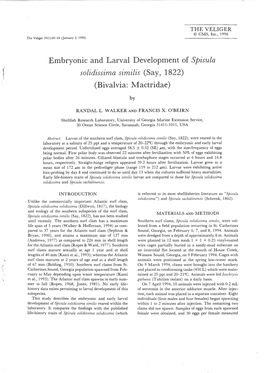 Embryonic and Larval Development of Spisula (Bivalvia: Mactridae)