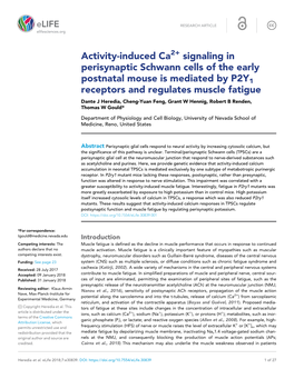 Activity-Induced Ca Signaling in Perisynaptic Schwann Cells of The