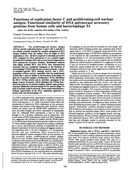 Functions of Replication Factor C and Proliferating-Cell Nuclear Antigen