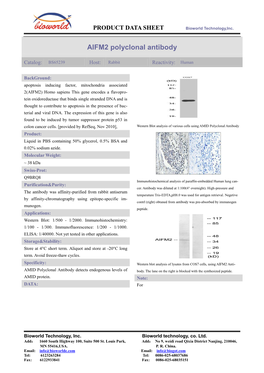 AIFM2 Polyclonal Antibody