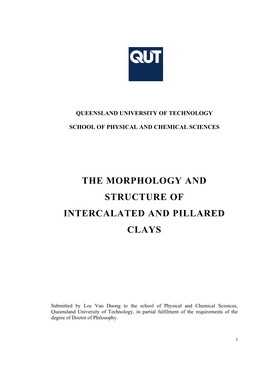 The Morphology and Structure of Intercalated and Pillared Clays