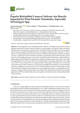 Popular Biofortified Cassava Cultivars Are Heavily Impacted by Plant