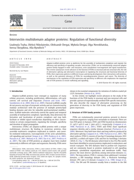 Intersectin Multidomain Adaptor Proteins: Regulation of Functional Diversity