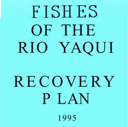 Of the Rio Yaqui Recovery P