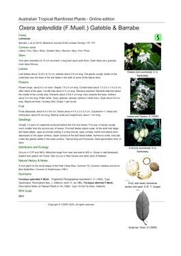Oxera Splendida (F.Muell.) Gateble & Barrabe Family: Lamiaceae Barrabe, L.Et Al (2015) Botanical Journal of the Linnean Society 179: 707