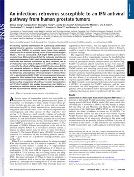 An Infectious Retrovirus Susceptible to an IFN Antiviral Pathway from Human Prostate Tumors