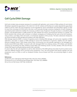 Cell Cycle/DNA Damage