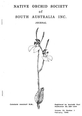 NATIVE ORCHID SOCIETY of SOUTH AUSTRALIA INC