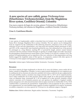 A New Species of Cave Catfish, Genus Trichomycterus (Siluriformes: Trichomycteridae), from the Magdalena River System, Cordillera Oriental, Colombia