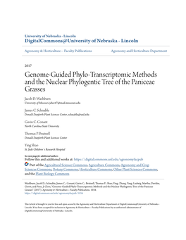 Genome-Guided Phylo-Transcriptomic Methods and the Nuclear Phylogentic Tree of the Paniceae Grasses Jacob D