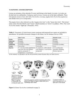 Taxonomy TAXONOMY and DESCRIPTION Lorises Are Primates of the Suborder Prosimii and Belong to the Family Lorisidae. Lorisidae Ar