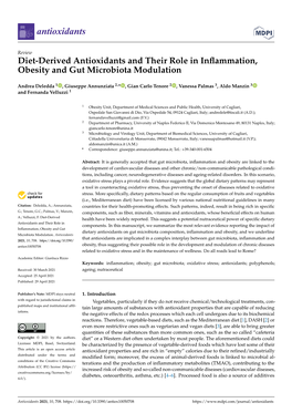 Diet-Derived Antioxidants and Their Role in Inflammation, Obesity And