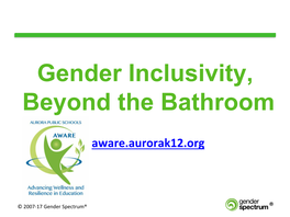 Gender Inclusivity, Beyond the Bathroom