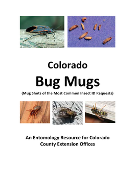 Bug Mugs (Mug Shots of the Most Common Insect ID Requests)