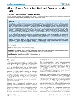 Oldest Known Pantherine Skull and Evolution of the Tiger