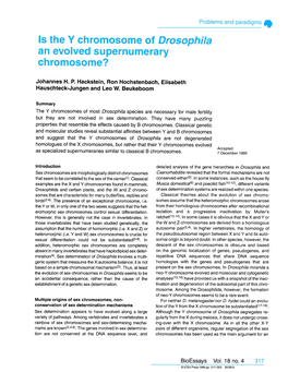 Is the Y Chromosome of Drosophila an Evolved Supernumerary