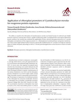 Application of Chloroplast Promoters of Cyanidioschyzon Merolae for Exogenous Protein Expression