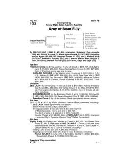 122 Taylor Made Sales Agency, Agent IL Gray Or Roan Filly