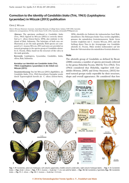 Correction to the Identity of Candalides Biaka (Tite, 1963) (Lepidoptera: Lycaenidae) in Müller (2013) Publication