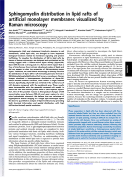 Sphingomyelin Distribution in Lipid Rafts of Artificial Monolayer Membranes Visualized by Raman Microscopy